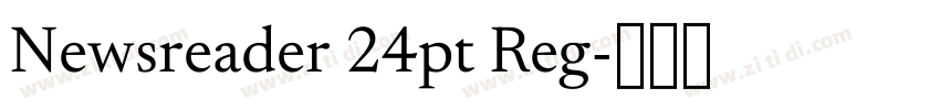 Newsreader 24pt Reg字体转换 Newsreader 24pt Reg字体转换